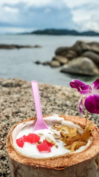 Hindistan cevizi dondurma Fındıklı