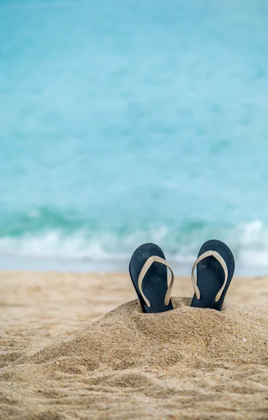 beyaz kumlu bir plaj üzerinde.