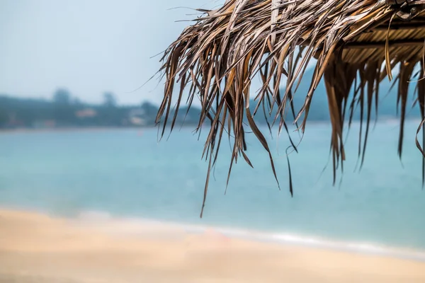 Plaj şemsiyesi avuç yapılan yapraklar