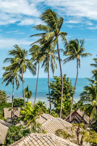 Tayland 'da tropik plaj