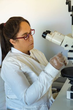 Laboratuar koltuğunda oturan şeffaf eldivenli bir bilim adamı beyaz mikroskobun önünde ellerini tutan gözlüklü bir örneğe bakıyor.