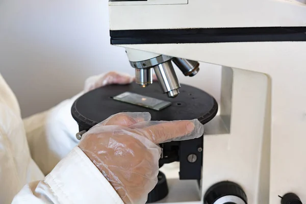 close up of the hands of a scientist with transparent gloves holding a sample inside glasses on the black stage of the white microscope