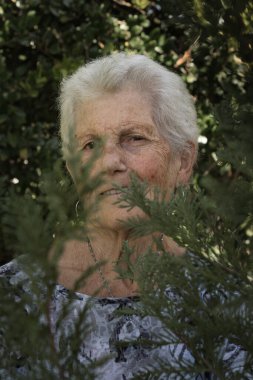 Kısa gri saçlı, yaşlı bir kadının yüzüne yakın çekim. Kadim, evinin bahçesindeki bazı bitkilerin arkasında. Yetişkin kadın yalnız ve cepheye bakmaktan mutlu. O, siyah ve beyaz bir gömlek giyiyor. Hava güneşli, o yüzden...