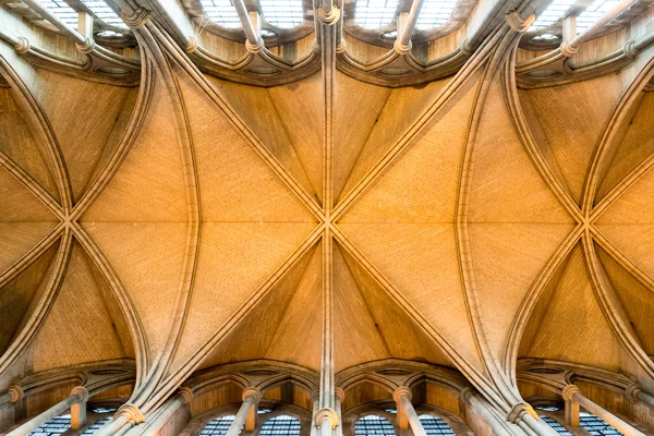 Truro Cattedrale soffitto — Foto Stock