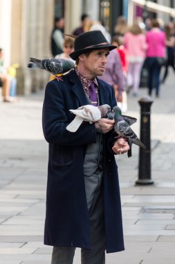 Güvercin banyo Merkezi İngiltere'de şapkalı bir adam yayınları