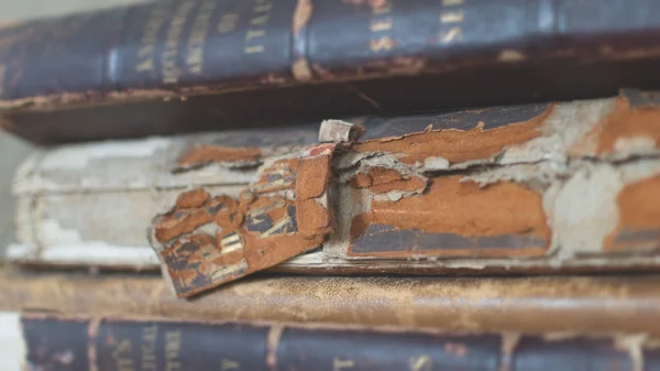 Cubierta del libro viejo espinas — Foto de Stock