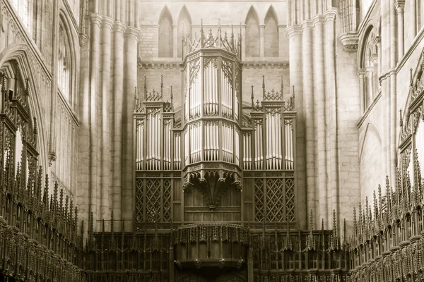 Tone Ripon Cathedral narządów sepia — Zdjęcie stockowe