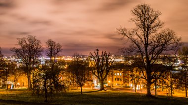 Bristol cityscape ağaçların arkasında