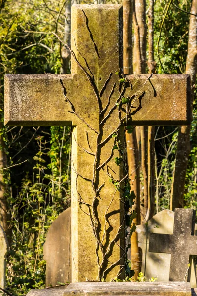 Cross with leaves — Stock Photo, Image