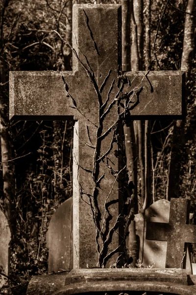 Cross with leaves (sepia) — Stock Photo, Image