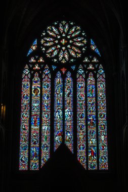Worcester katedral NEF vitray