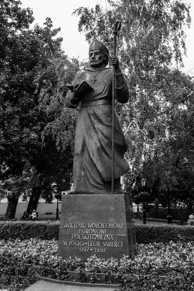 Statua SW Wojciech — Foto Stock