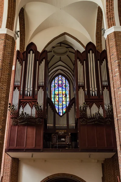 Catedral Basílica de São Tiago Apóstolo, Szczecin - Órgãos — Fotografia de Stock