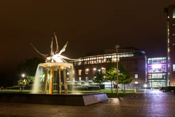 Fontaine de cygne la nuit — Photo