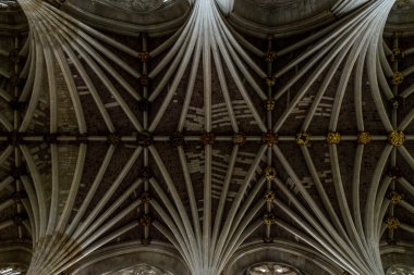 Exeter katedral - tavan