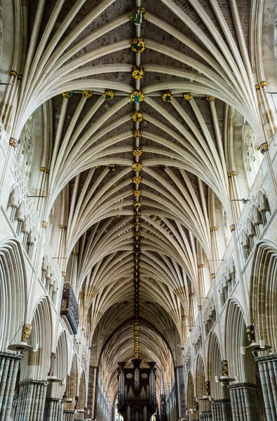 Catedral de Exeter - techo — Foto de Stock