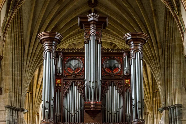 Exeter katedrály - varhany a stropu — Stock fotografie