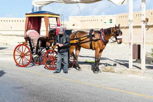 Un hombre no identificado con un carro tirado por caballos, pelando naranjas —  Fotos de Stock