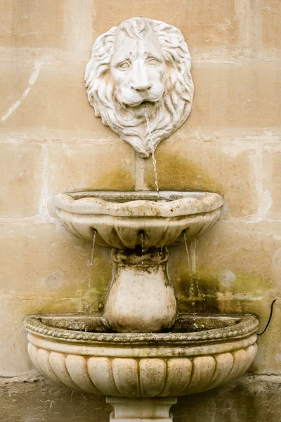 壁に組み込まれている獅子頭の泉 — ストック写真