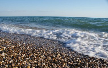 Bir yaz gününde sörf