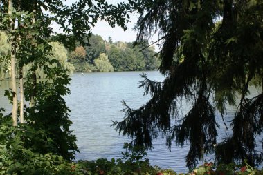 Ulusal Dendroloji Parkı Sofiyivka İnsan yapımı Mucize