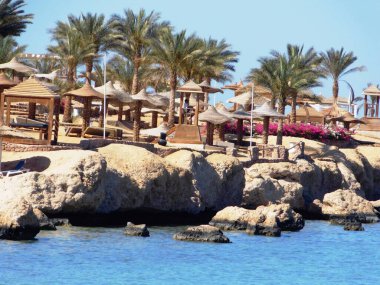 Kızıl denizin dalgaları kayalık sahili yıkıyor.