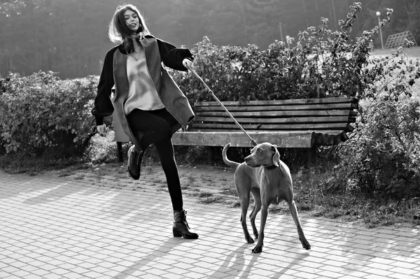 Moda menina modelo andar com seu cão ao ar livre parque natureza fundo — Fotografia de Stock