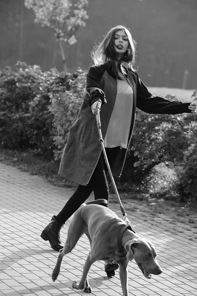 Модель моди дівчина модель ходьби зі своєю собакою відкритий парк фон природи — стокове фото