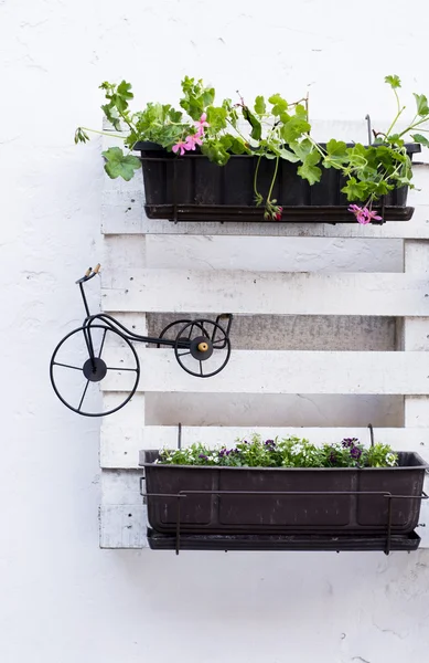 Idées de palettes pour le jardinage — Photo