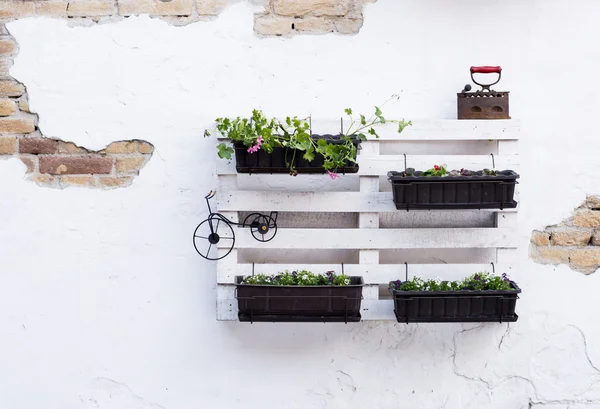 Idéias de paletes para jardinagem — Fotografia de Stock