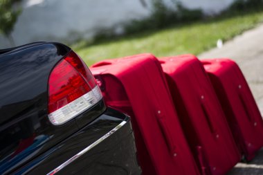 Bavul bir gövde önünde