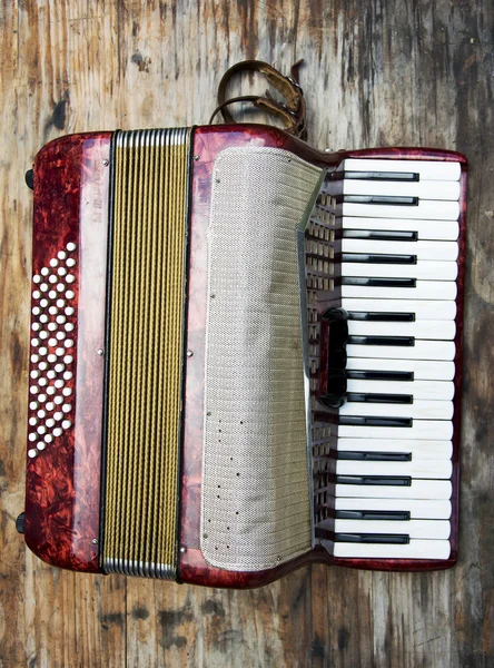 Czerwony dzieci klasyczne accordian — Zdjęcie stockowe