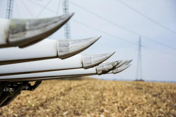 Corn harvest with combain — Stock Photo, Image