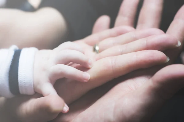 Manos familiares — Foto de Stock