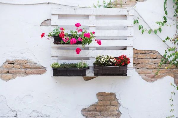 Idéias de paletes para jardinagem — Fotografia de Stock