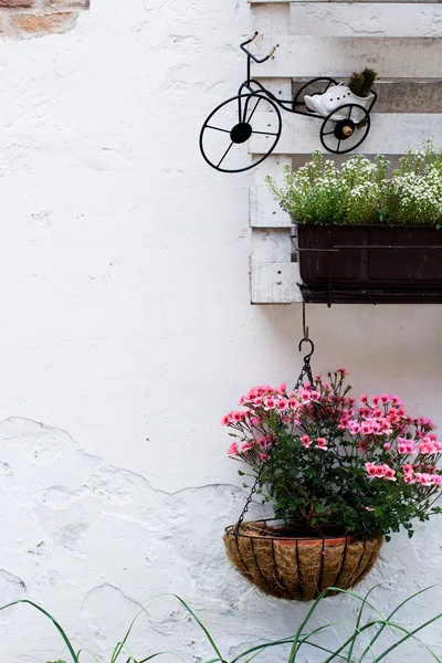 Palettenideen für die Gartenarbeit — Stockfoto