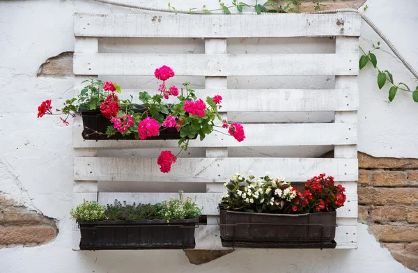 Pallet ideas for gardening — Stock Photo, Image