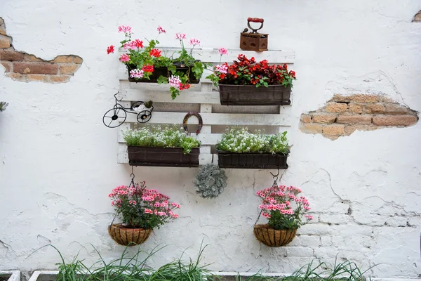 Pallet ideas for gardening - Stock Image - Everypixel