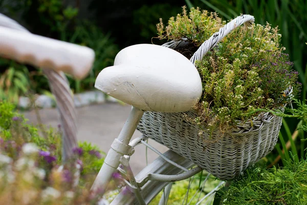Idéias velhas da bicicleta para jardinar — Fotografia de Stock