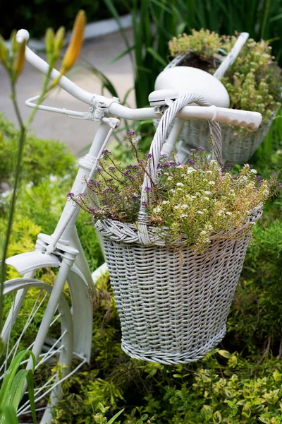 Old bicycle ideas for gardening — Stock Photo, Image
