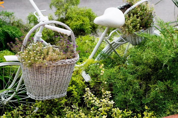 Старі велосипедні ідеї для садівництва — стокове фото