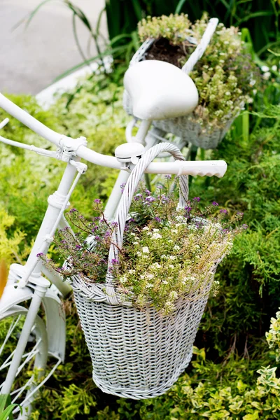 Alte Fahrrad-Ideen für die Gartenarbeit — Stockfoto