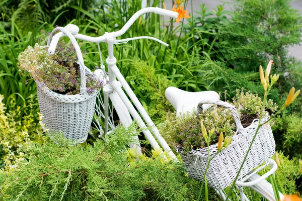 Idéias velhas da bicicleta para jardinar — Fotografia de Stock