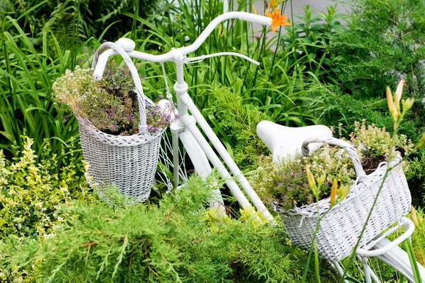 Idéias velhas da bicicleta para jardinar — Fotografia de Stock