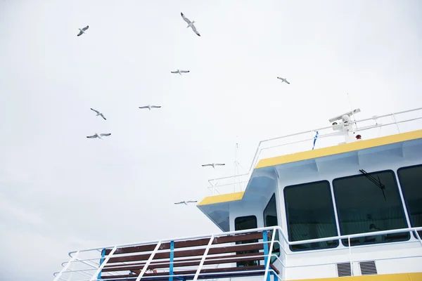 Les mouettes sur le ferry — Photo