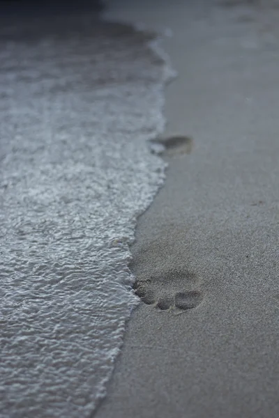 Сліди в піску — стокове фото