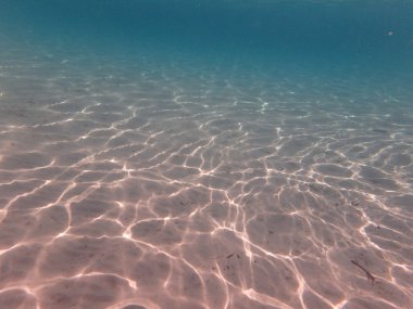 Deniz dünya sualtı