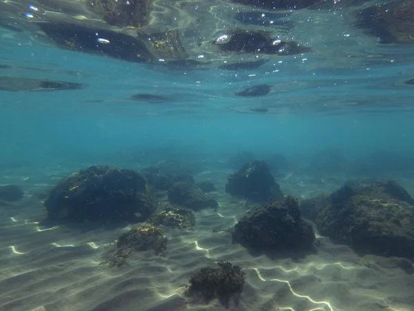 Sea world underwater — Stock Photo, Image