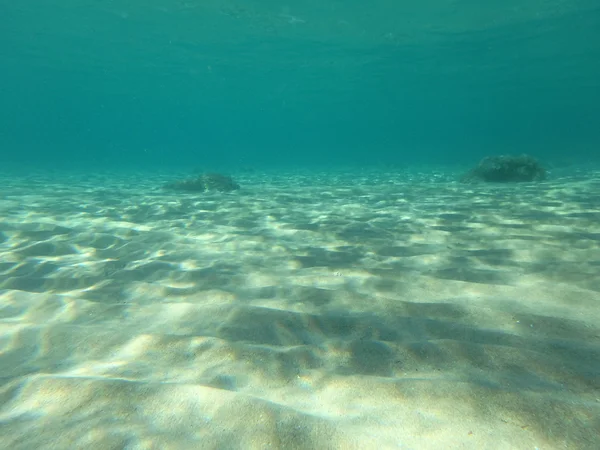 Mundo do mar subaquático — Fotografia de Stock