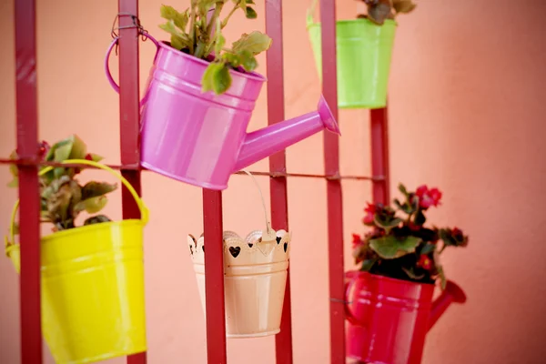 Beautiful idea for flower pots in garden — Stock Photo, Image